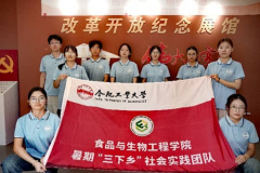 合工大学子奔赴滁州乡土：赓续以专业学